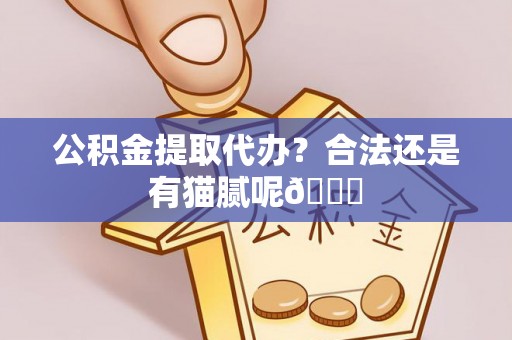 正阳公积金提取代办？合法还是有猫腻呢😏